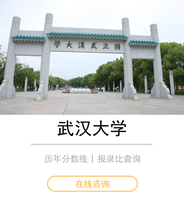 武汉大学.jpg